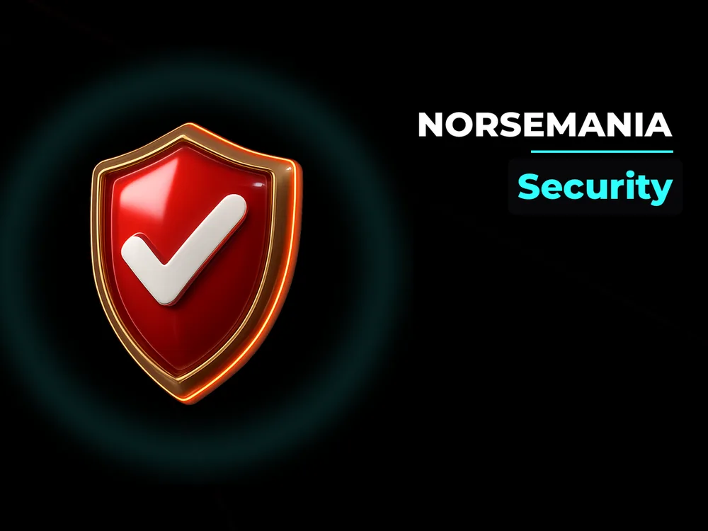 Norsemania - Security