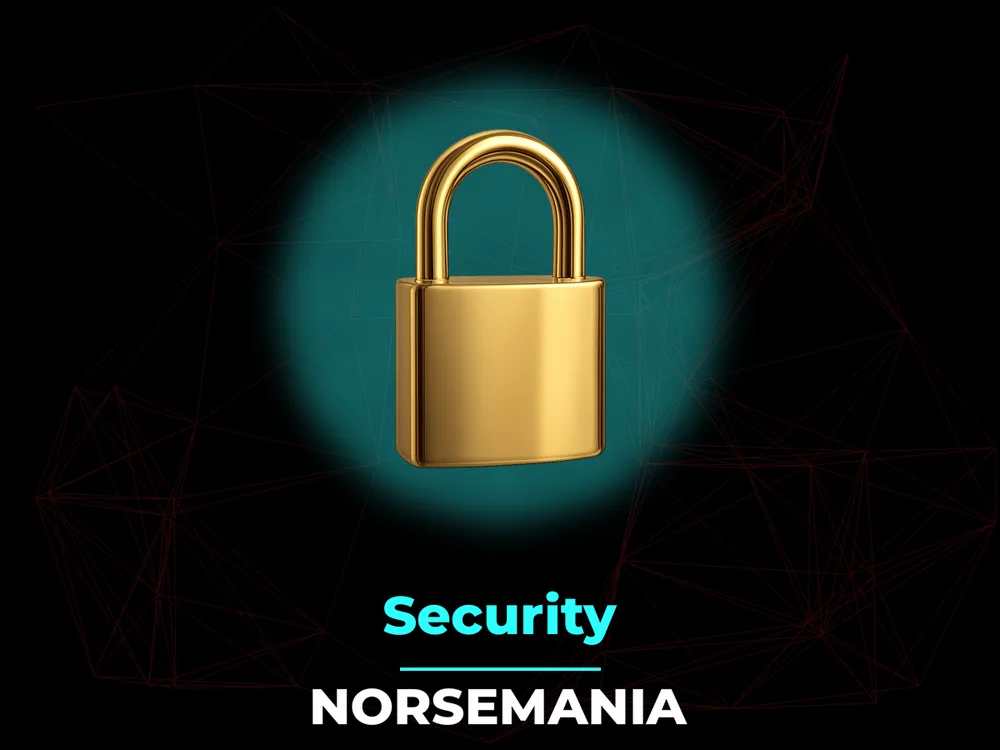 Norsemania - Security